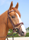 Dy’on Collection Large Flash Noseband Bridle