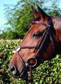 Dy’on New English Collection Figure 8 Noseband Bridle