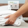 Gryphon bath rug image showing ready to use out of box
