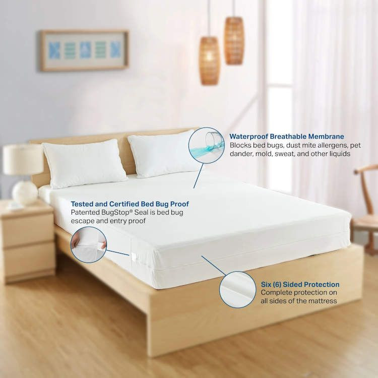 Elite Bed Bug Mattress Protector Cover Free Shipping!