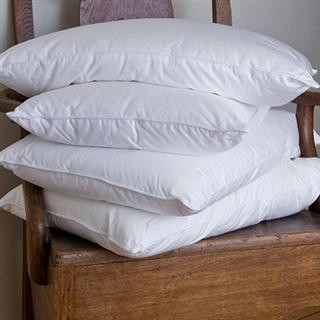 Wholesale Pillows in Bulk by the case with Free Shipping!