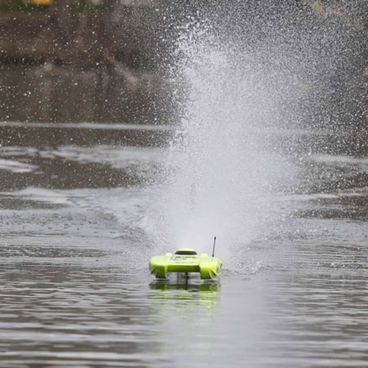 miss geico rc boat 29