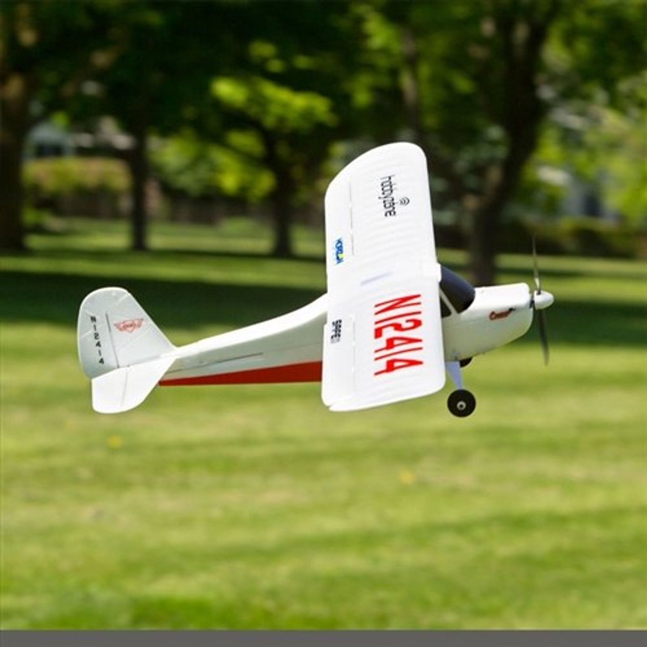 champ s rc plane