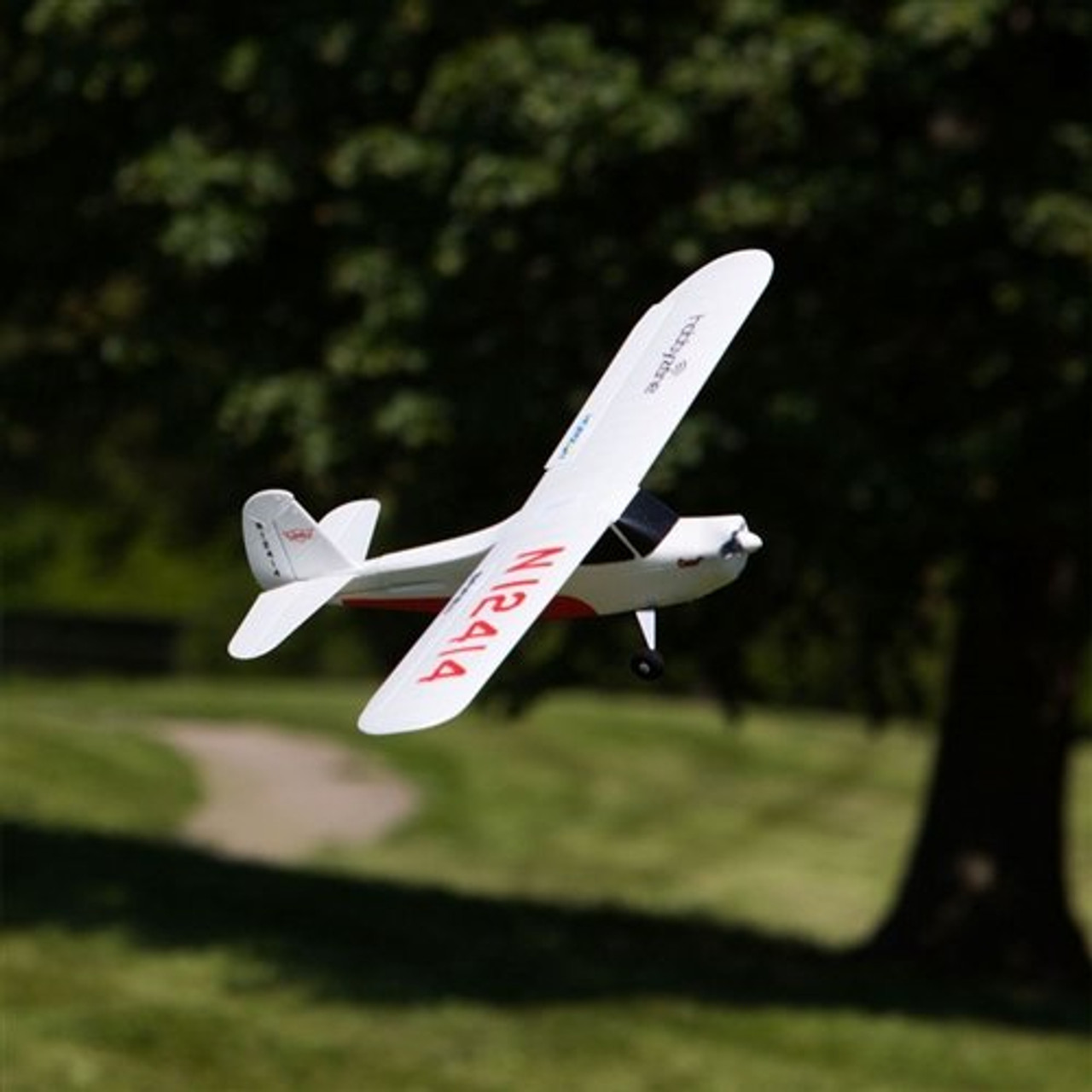 champ s rc plane