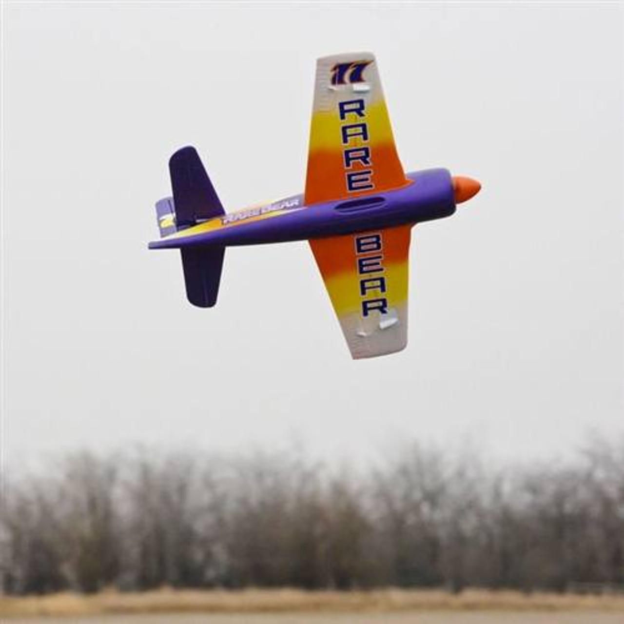 rare bear rc plane