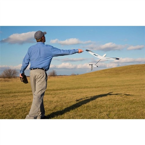 E-Flite UMX Whipit DLG Bind-N-Fly Basic Glider BNF