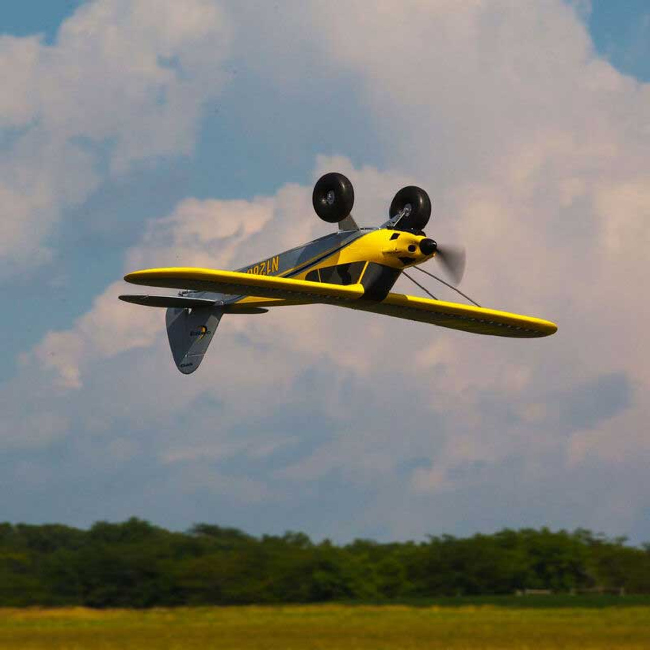 carbon cub rc plane