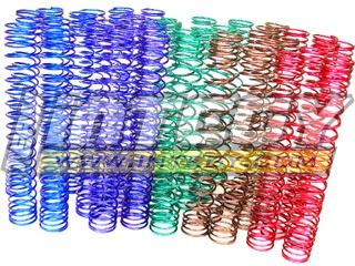 Integy Progressive Spring Set (40 Springs): Savage Trucks (fits MSR4 and MSR5 shocks)