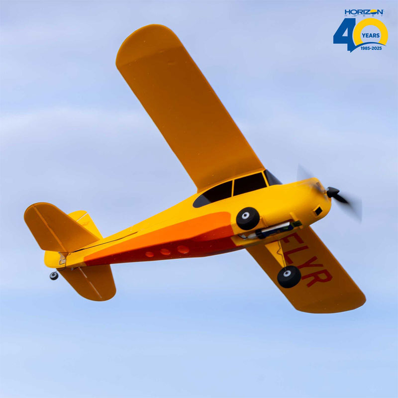 Hobbyzone Champ Anniversary Special Edition 515mm Ready-to-Fly RC Airplane with SAFE