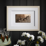 To Light A Path Frame