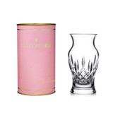 Giftology Vase 15Cm/6In with pink tube