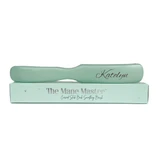 Mane Master Hair Brush