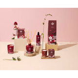 Coriander Seed Geranium & Vetiver Hand Cream Tube