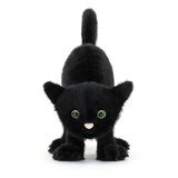 Spookipaws Cat Halloween 