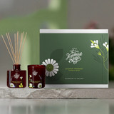 Home Fragrance Set - Lavender, Rosemary, Thyme & Mint