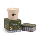 Bistro Olive Ceramic Candle – Fig & Olive (226g)