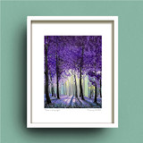 Limited Edition "There Is Always Light"