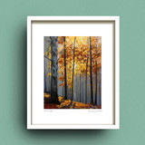Limited Edition "Autumn Light"