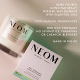 Feel Refreshed Scented Candle (1 Wick)