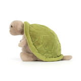 Timmy Turtle