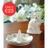 Classic Quizzical Cat