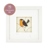 Robin Frame