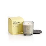 Max Benjamin Lemongrass and Ginger Luxury Candle & Lid _10001
