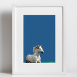 Sketchico Sky Blue Connemara Pony Framed Print 11" x 14"_10001