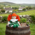 Sinead Irish Shamrock Ragdoll