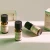 Feel Refreshed Essential Oil Blend