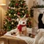 Gosh! Reindeer Softie  