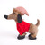 Christmas Dog in Jumper & Stripe Hat