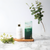 Seaweed Hand Lotion