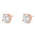 Absolute Rose Gold Crystal Stud Earrings _10002