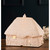 Belleek Thatched Cottage Luminaire (US Fittings)_10003