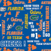 NCAA-FLORIDA FL-1142 GLITTER CTN