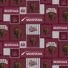 NCAA-Montana-1177 logo patch flc