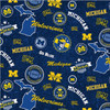 NCAA-Michigan 1238 Home State Minky
