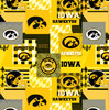 NCAA-Iowa 1367 Minky Geo