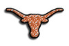 NCAA-Texas 1359 Pillow