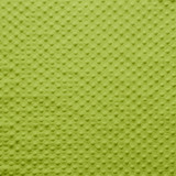 Minky Dots