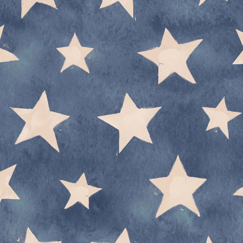 1077-77 Denim || U.S. Army Heroes Wanted Minky