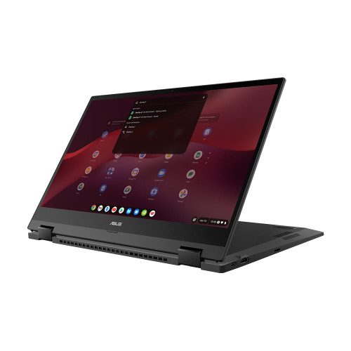 Asus Chromebook Vibe CX55 Flip (CX5501)