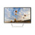 HP Pavilion 27xw Silk Screen Protector