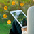 Barnes & Noble Nook Tablet 10 Vivid Screen Protector