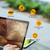 Dell Latitude 13 7320 Detachable Vivid Screen Protector