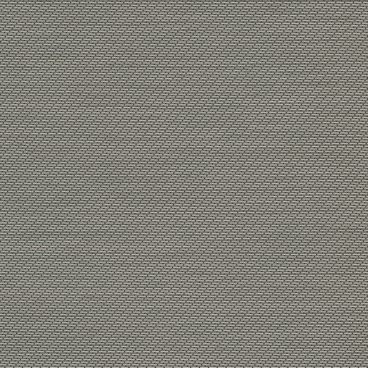 CSF-V65-03