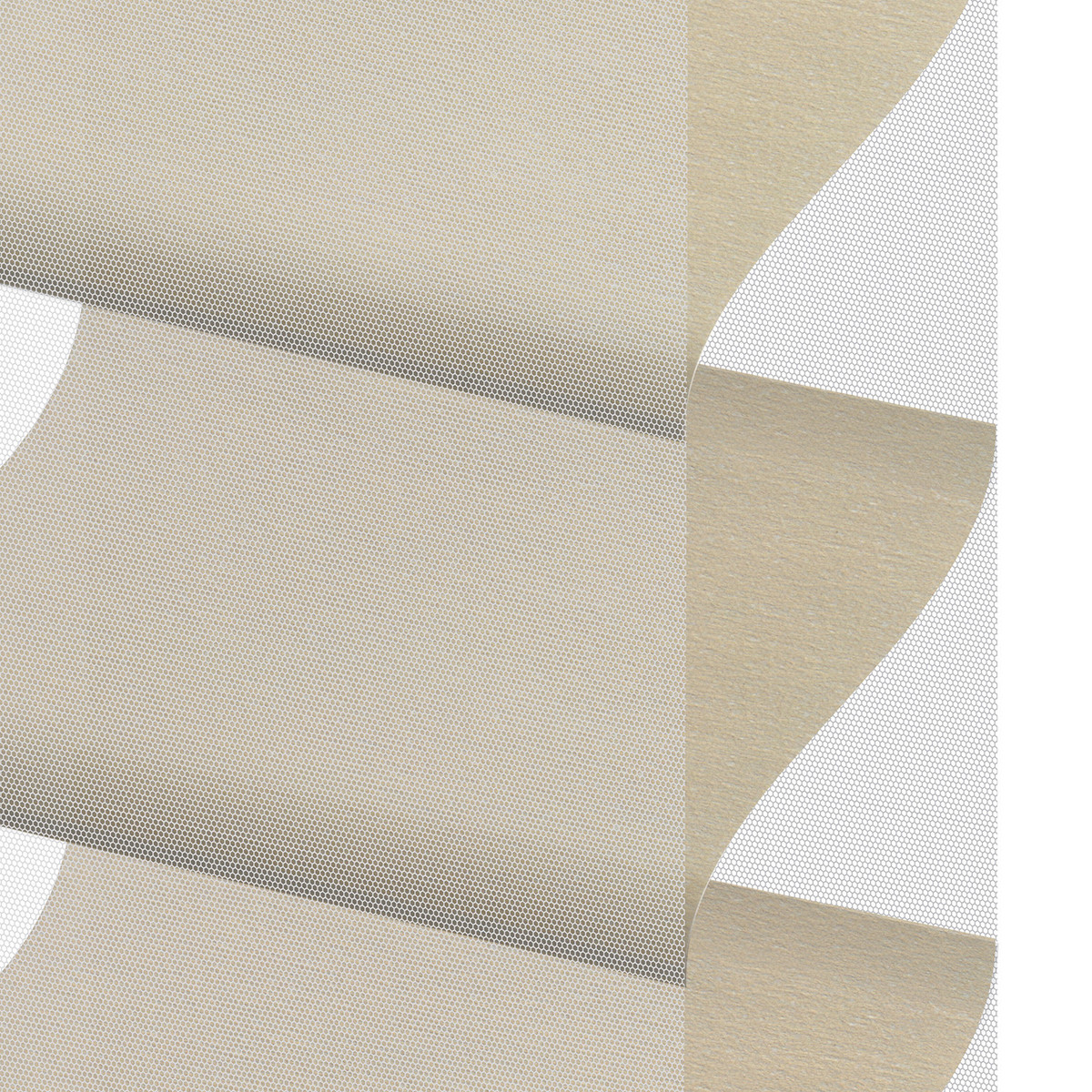 CSF-Keystone-1019-TR