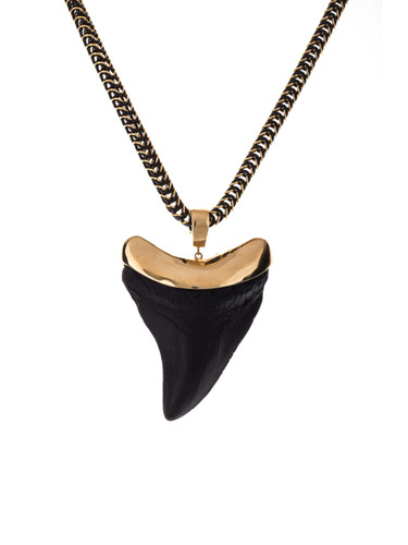 Megalodon Resine Big - Tubular Medium/ Oro Brillo