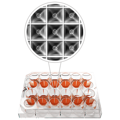 036140001 | Heidolph Sphericalplate 5D - 24 Well